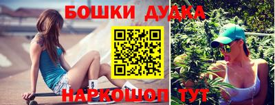 spice Бийск