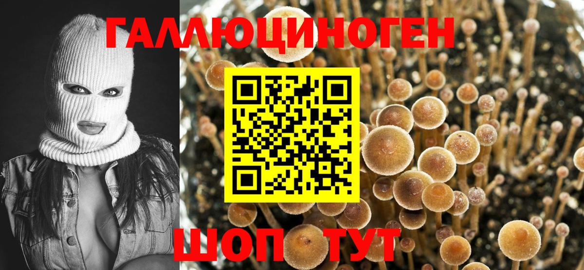 Кирово-Чепецк  Псилоцибиновые грибы ЛСД  Галлюциногенные грибы Magic Shrooms  Вход с VPN 